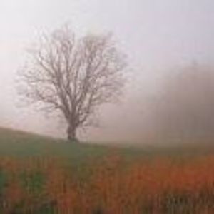 Meet your Posher, Ninak